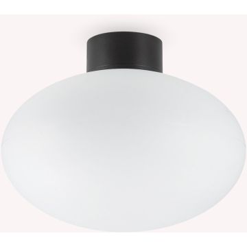 Ideal Lux CLIO 148878 Lampe de plafond 1x42W/E27 ip44