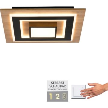 Paul Neuhaus TOLA 14563-18 Lampe de plafond 1x30W/LED 3000k 3200lm ip20