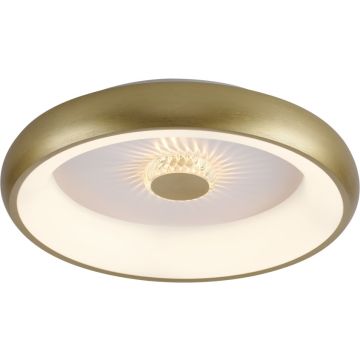 Paul Neuhaus VERTIGO 14384-60 Plafondlamp 1x29W/LED 2700-5000k 1400lm ip20