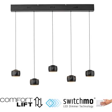 Paul Neuhaus BALLINI 15262-18 Suspension lumineuse 5x30W/LED 3000k 4000lm ip20