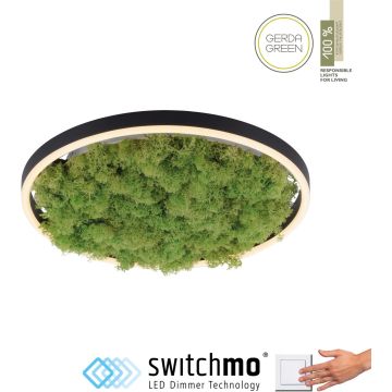 Paul Neuhaus GREEN RITUS 15391-66 Plafondlamp 1x20W/LED 3000k 630lm ip20