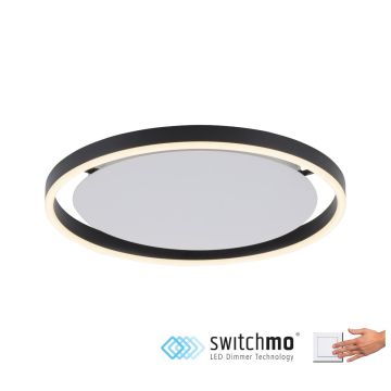 Paul Neuhaus RITUS 15391-13 Plafondlamp 1x20W/LED 3000K 800LM IP20