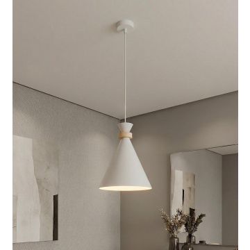 Emibig ZERO 1679/1 Hanglamp 1x15W/E27 IP20