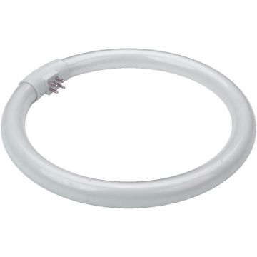 Prezent OTHERS BULBS 17007 TUBE Gloeilamp 28w/t5