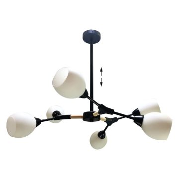 Prezent CITTERIO 18300 Plafondlamp 6x40W/E14 IP20