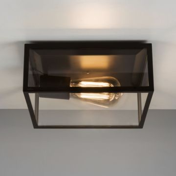 Astro Lighting BRONTE 1353001 Plafondlamp 1x60W/E27 IP23