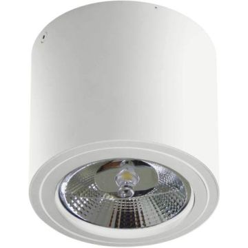 AZzardo ALIX 230V AZ3541 Opbouwspot 1x50W/ES111/GU10 IP20