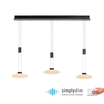 Paul Neuhaus LAUTADA 2081-18 Hanglamp 3x7,5W/LED 3000K 1800LM IP20