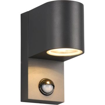 Trio ROYA 214260142 Wandlamp 1x35w/gu10 ip44