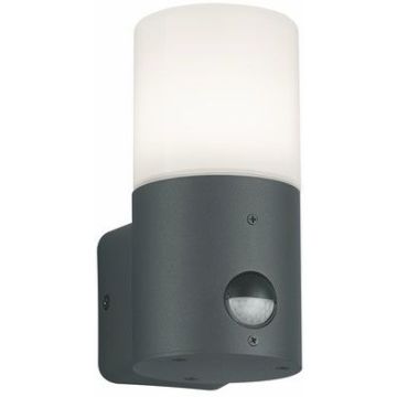 Trio HOOSIC 222260142 Wandlamp 1x28w/e27 ip44