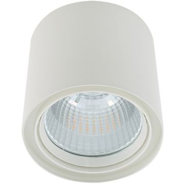 Italux Luna White 3800LM WG-706R/WU-WW/70 Opbouwspot 1x40W/LED 3000K 3800lm IP20