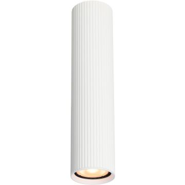 Italux Rilok CLN-83920-L-WH Spot en saillie 1x10W/GU10 IP20