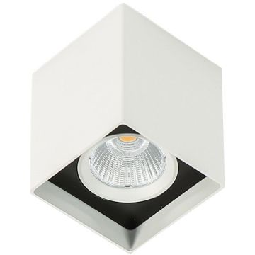 Italux Alden White Black 4000K SLC78002/12W 4000K WH+BL Opbouwspot 1x12W/LED 4000K 1010lm IP20