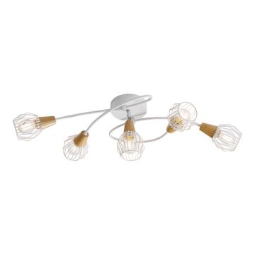 Prezent TAMETA 27506 Lampe de plafond 5x40W/E14 IP20