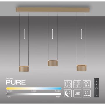 Paul Neuhaus PURE CLIPSE 2473-97 Suspension lumineuse 6x5W/LED 2200-5000k 670lm ip20