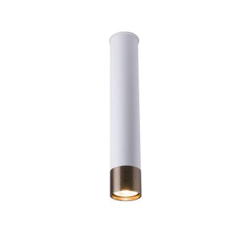 Antigo Eido 8251 Opbouwspot 1x10W/GU10 IP20