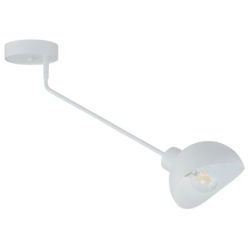 Sigma Lighting Roy 32428 Lampe de plafond 1x15W/E27 IP20