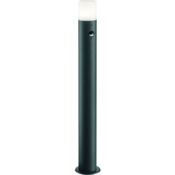 Trio HOOSIC 422260142 Lampe sur pied 1x28w/e27 ip44