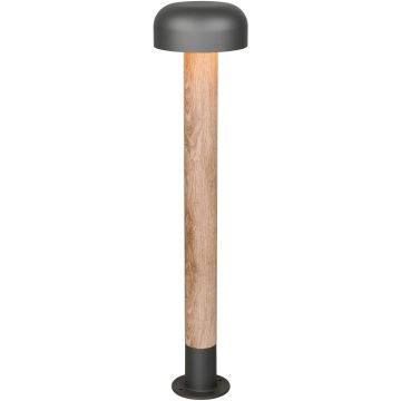 Trio FRASER 462560135 Lampe sur pied 1x10w/e27 ip54