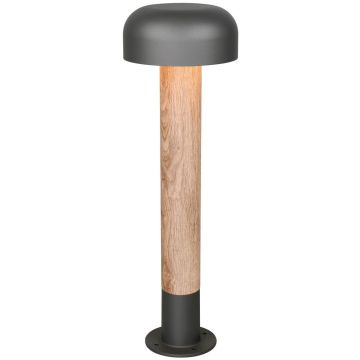 Trio FRASER 562560135 Lampe sur pied 1x10w/e27 ip54