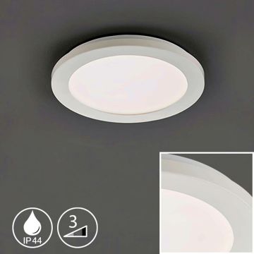 Fischer&Honsel Gotland 21172 Plafondlamp 1x8.5W/LED 3000K 1100 lm IP44