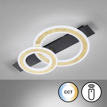 Fischer&Honsel Circle 21433 Plafondlamp 1x20W/LED 2700K 3100 lm IP20