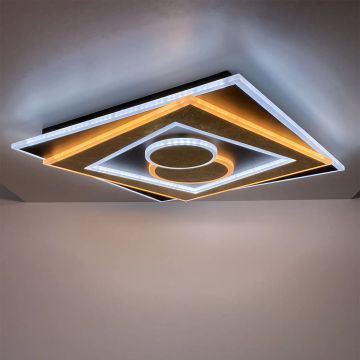 Fischer&Honsel Ratio 21425 Plafondlamp 1x48W/LED 2700K 3800 lm IP20