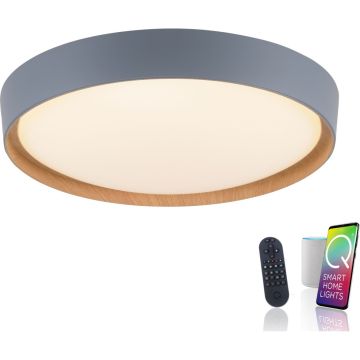 Paul Neuhaus Q-EMILIA 6118-15 Lampe de plafond 1x40W/LED 2700-5000k 3720lm ip20