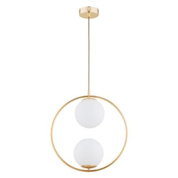 Alfa AVIA 62441 Hanglamp 2x10W/E14 IP20