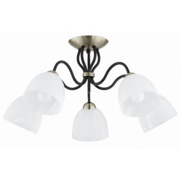 Alfa ARIEL 63428 Plafondlamp 5x15W/E27