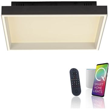 Paul Neuhaus Q-MAGONG 6316-18 Lampe de plafond 1x40W/LED 2700-5000k 5700lm ip20