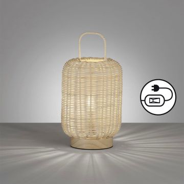 Fischer&Honsel Nature 50738 Tafellamp 1x25W/E14 IP20