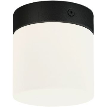 Nowodvorski CAYO 8055 Plafondlamp 1x40W/G9 IP44