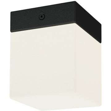 Nowodvorski SIS 8054 Plafondlamp 1x40W/G9 IP44