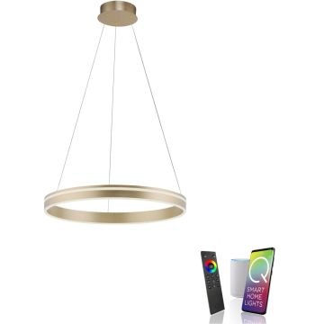 Paul Neuhaus Q-VITO 8411-60 Suspension lumineuse 1x44W/LED 2700-5000k 4550lm ip20