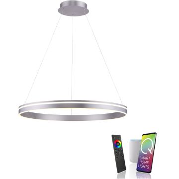 Paul Neuhaus Q-VITO 8412-55 Suspension lumineuse 1x65W/LED 2700-5000k 7000lm ip20