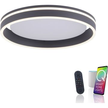 Paul Neuhaus Q-VITO 8414-13 Lampe de plafond 1x33W/LED 2700-5000k 3250lm ip20