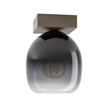 Eglo FILAGO 900825 Plafondlamp 1x40W/E27 IP20