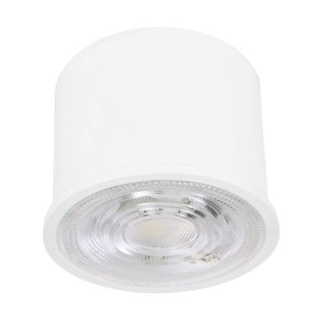 Eglo PUCK SMART RGB+TW 902336 Module 1x4.7W/LED 2700-6500K 440lm ip20