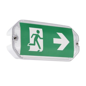 Endon SIGHT ECO 91358 Lampe de secours 3W/LED 6500K 220LM IP65