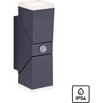 Paul Neuhaus RYAN 9772-13 Wandlamp 2x12W/ 3000k 1400lm ip54