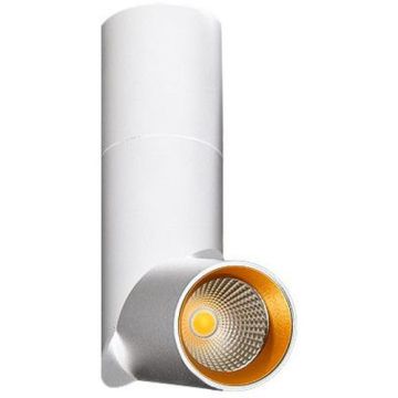 AZzardo SANTOS AZ2417 Spot 1x12W/LED 950LM