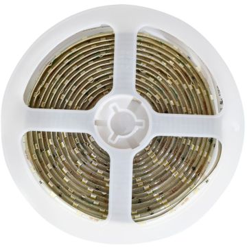 Eko-Light EKZ0668 Ruban LED 4,8W/m/LED 4000K 540LM IP65