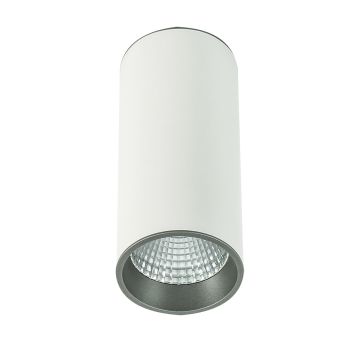 Italux MOLDES SLC7392/12W 4000K WH+GR Opbouwspot 1x12W/LED 820LM IP20
