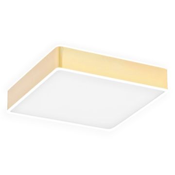 Argon ATLANTIS 4051 Plafondlamp 1x32W/LED 3000K 3900LM IP20