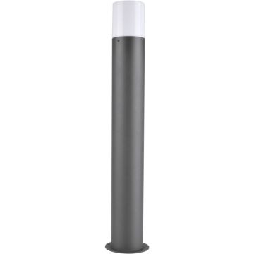 Polux DALLAS 315984 Vloerlamp 1x12W/E27 IP44