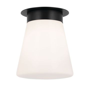 Kichler Albers KL-ALBERS-F-T-BK Plafondlamp 1x40W/E27 IP20