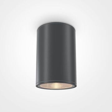 Maytoni BAR O306CL-L12GF Opbouwspot 1x12W/LED 3000K 1300LM IP65