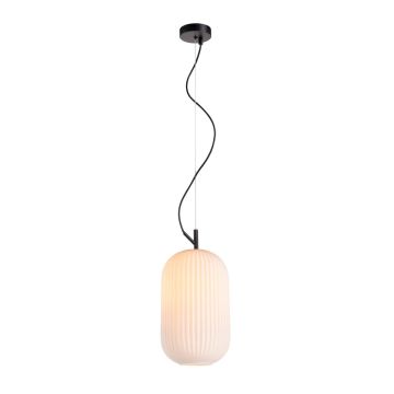 Italux Rues PND-64536C-M-BL-OPA Hanglamp 1x60W/E27 IP20