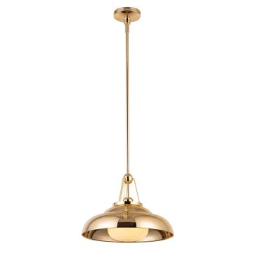 Quintiesse Palmetto QN-PALMETTO-P-M-PB Hanglamp 1x60W/E27 IP20